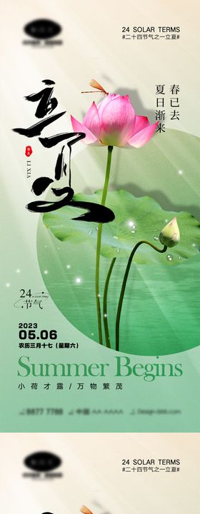 立夏节气海报二十四荷叶荷花
