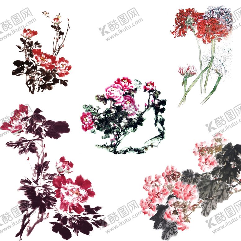 编号：28491009170659239952【酷图网】源文件下载-牡丹花