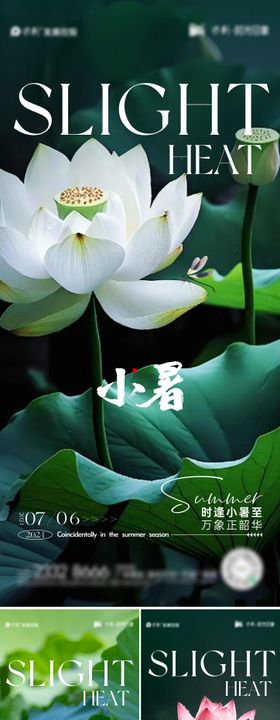 小暑节气海报荷花夏天二十四