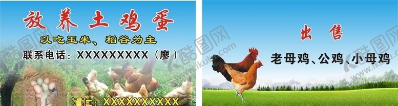 编号：58809205030949061663【酷图网】源文件下载-放养土鸡蛋名片