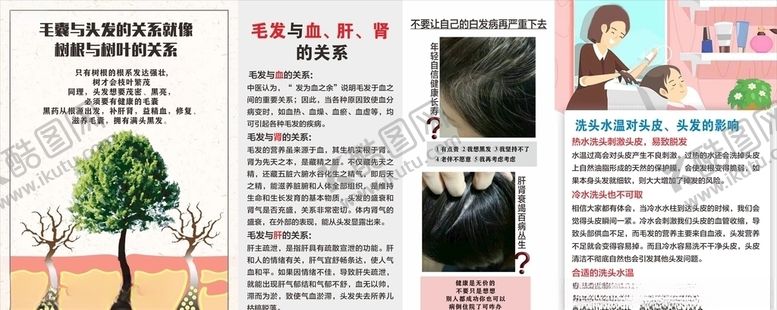 编号：76303209161942255464【酷图网】源文件下载-毛发保养