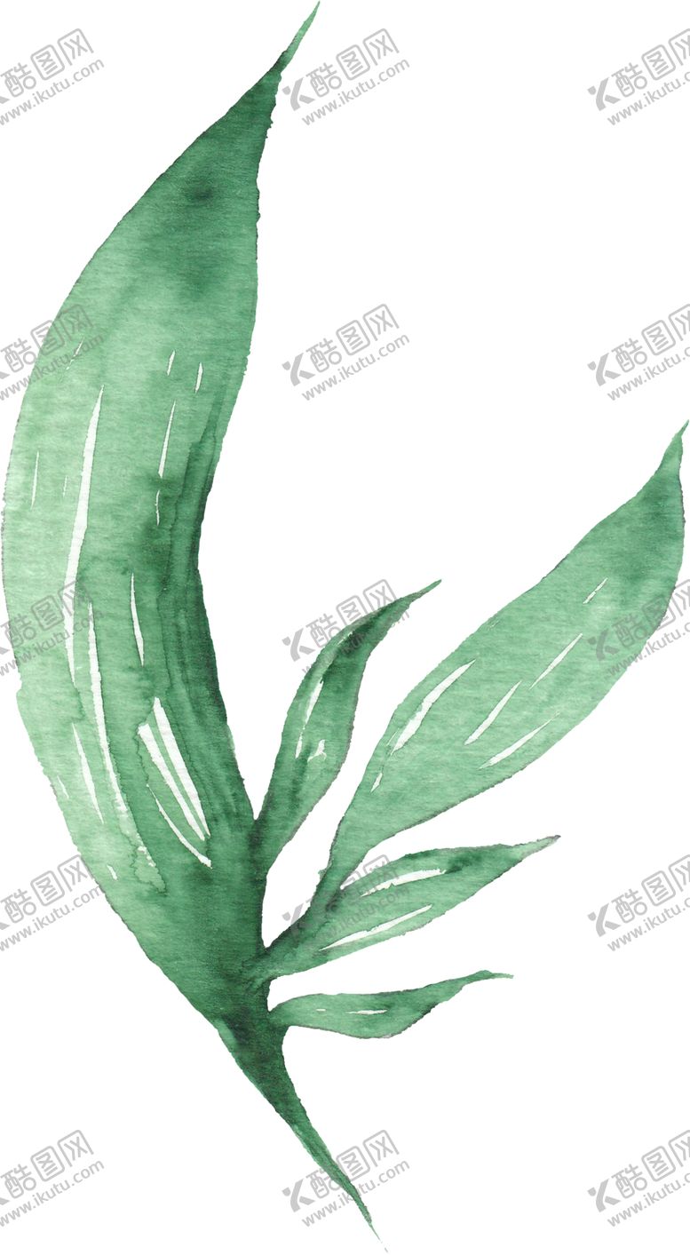 编号：58106106280518164215【酷图网】源文件下载-海报元素花草元素展架元素
