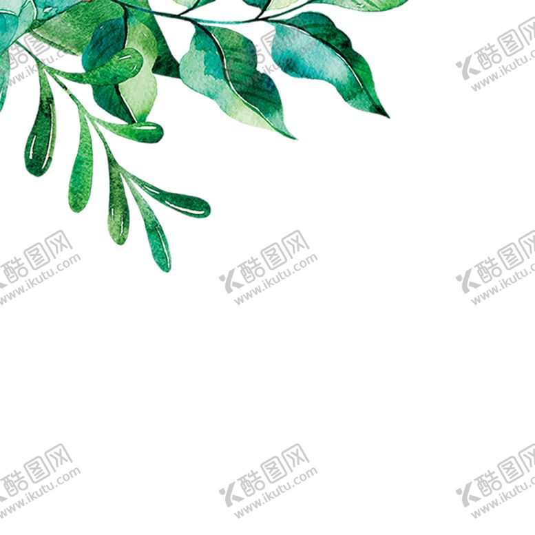 编号：34808607030136416939【酷图网】源文件下载-绿色相框