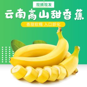 香蕉广西小米蕉大蕉