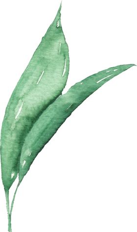 海报元素花草元素展架元素