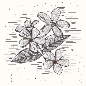 手绘花草剪影图片