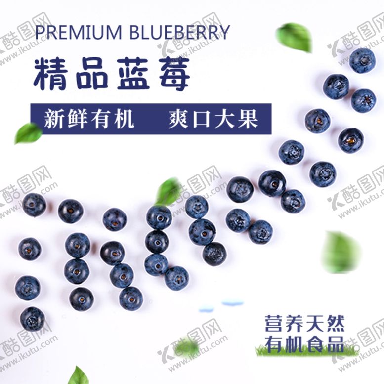 编号：38264007032153061444【酷图网】源文件下载-精品蓝莓标签