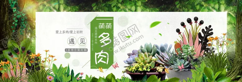 编号：43680209181921224786【酷图网】源文件下载-多肉