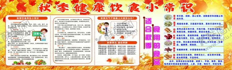 编号：23009911250117047745【酷图网】源文件下载-秋季养生文化展板