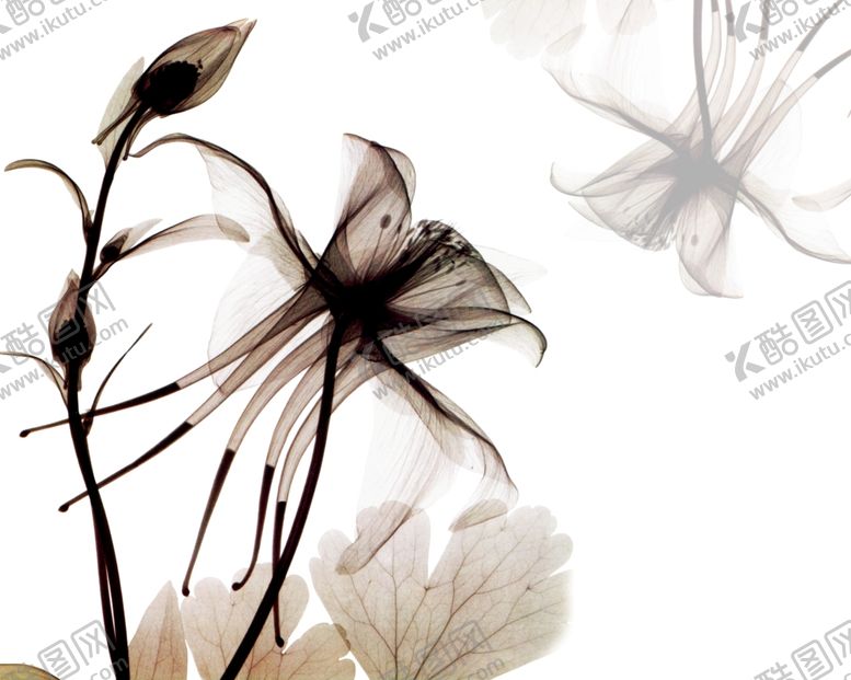 编号：92346906260633397390【酷图网】源文件下载-装饰画背景墙