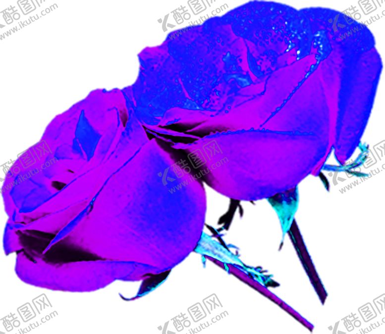 编号：94108909271531248251【酷图网】源文件下载-花素材