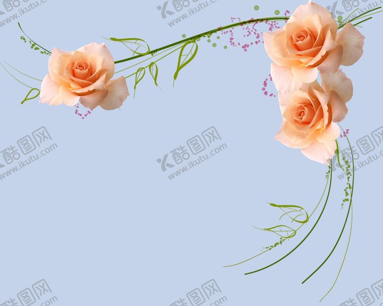 编号：93749207132144367995【酷图网】源文件下载-玫瑰花