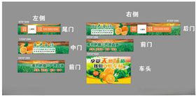 奉节脐橙车身贴