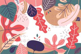 扁平植物插画清新