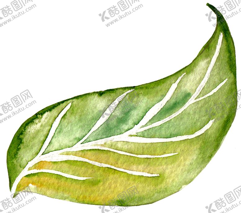 编号：68443609240242046092【酷图网】源文件下载-水彩植物