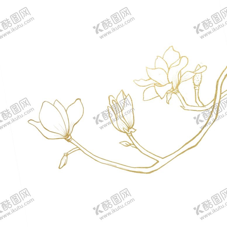 编号：91044601170226454646【酷图网】源文件下载-木兰花