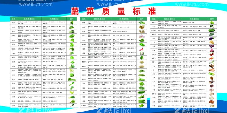 编号：55982911281257466703【酷图网】源文件下载-蔬菜质量标准