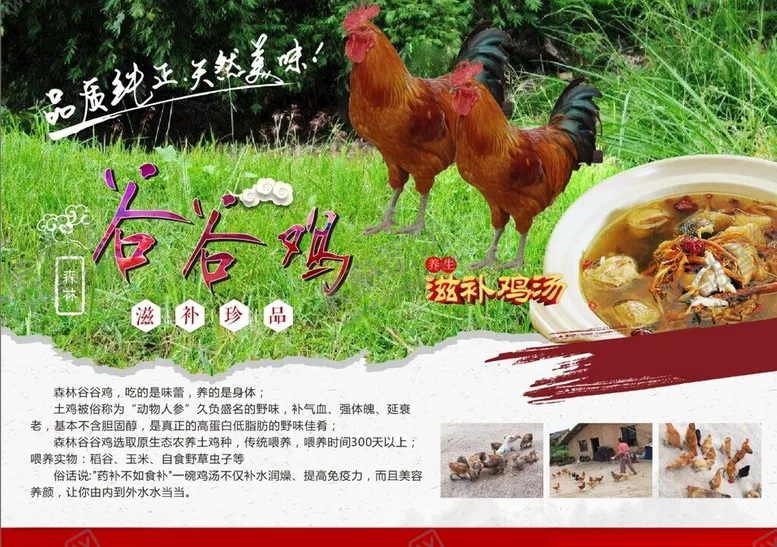 编号：53791302132257538181【酷图网】源文件下载-森林谷谷鸡海报