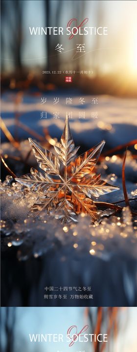 冬至大雪小雪立冬节气雪花海报