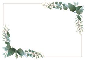 淡彩植物边框