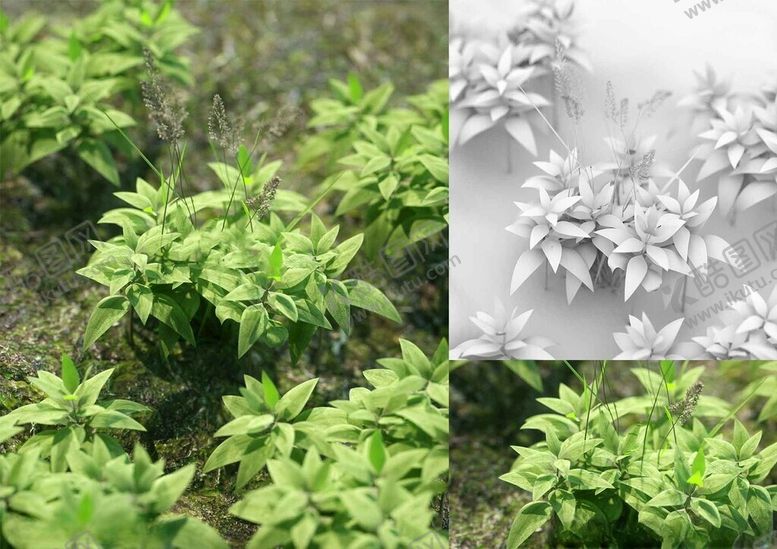 编号：50531401122306269260【酷图网】源文件下载-C4D模型绿色植物