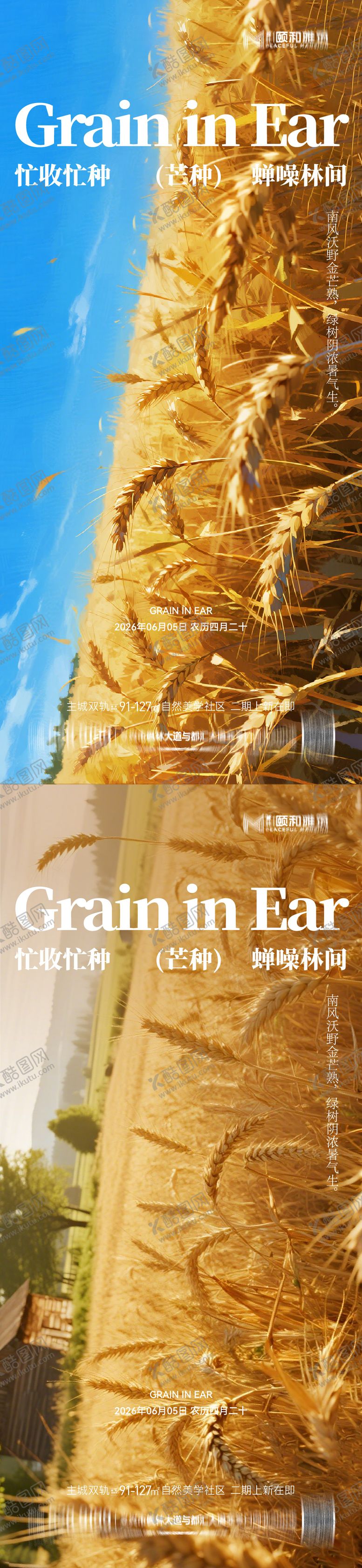 编号：99398405250157007444【酷图网】源文件下载-芒种节气海报