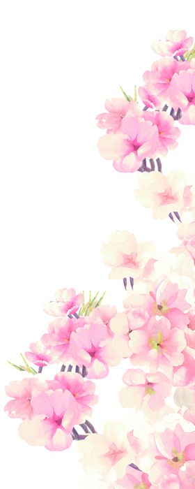 樱花图