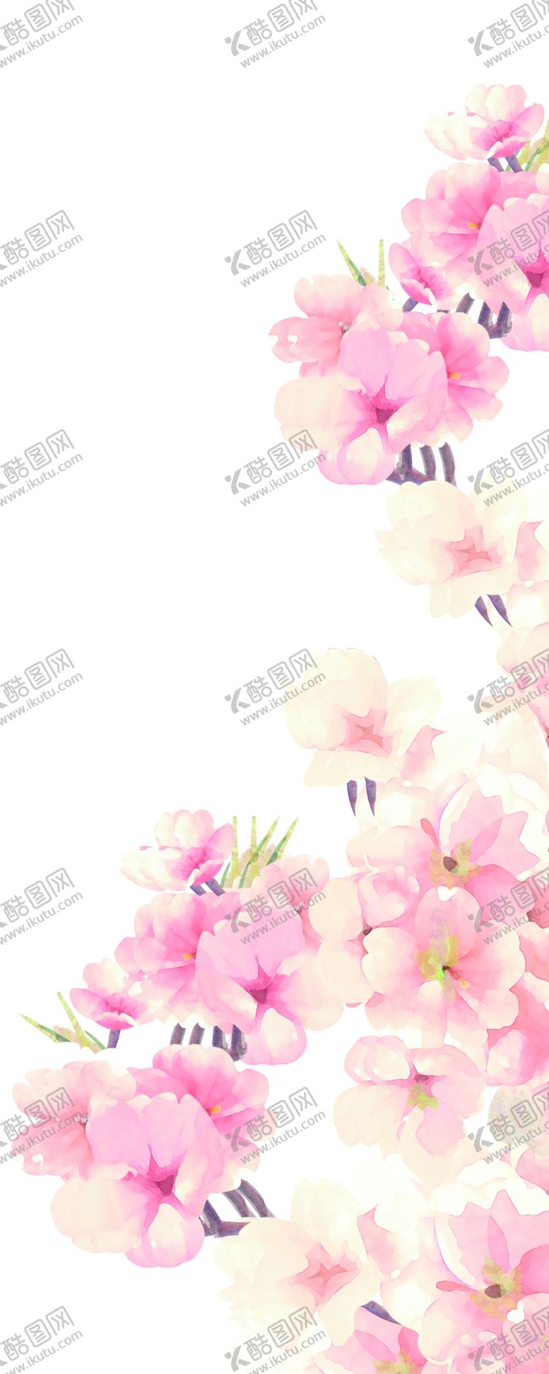 编号：64031910041240189034【酷图网】源文件下载-樱花图
