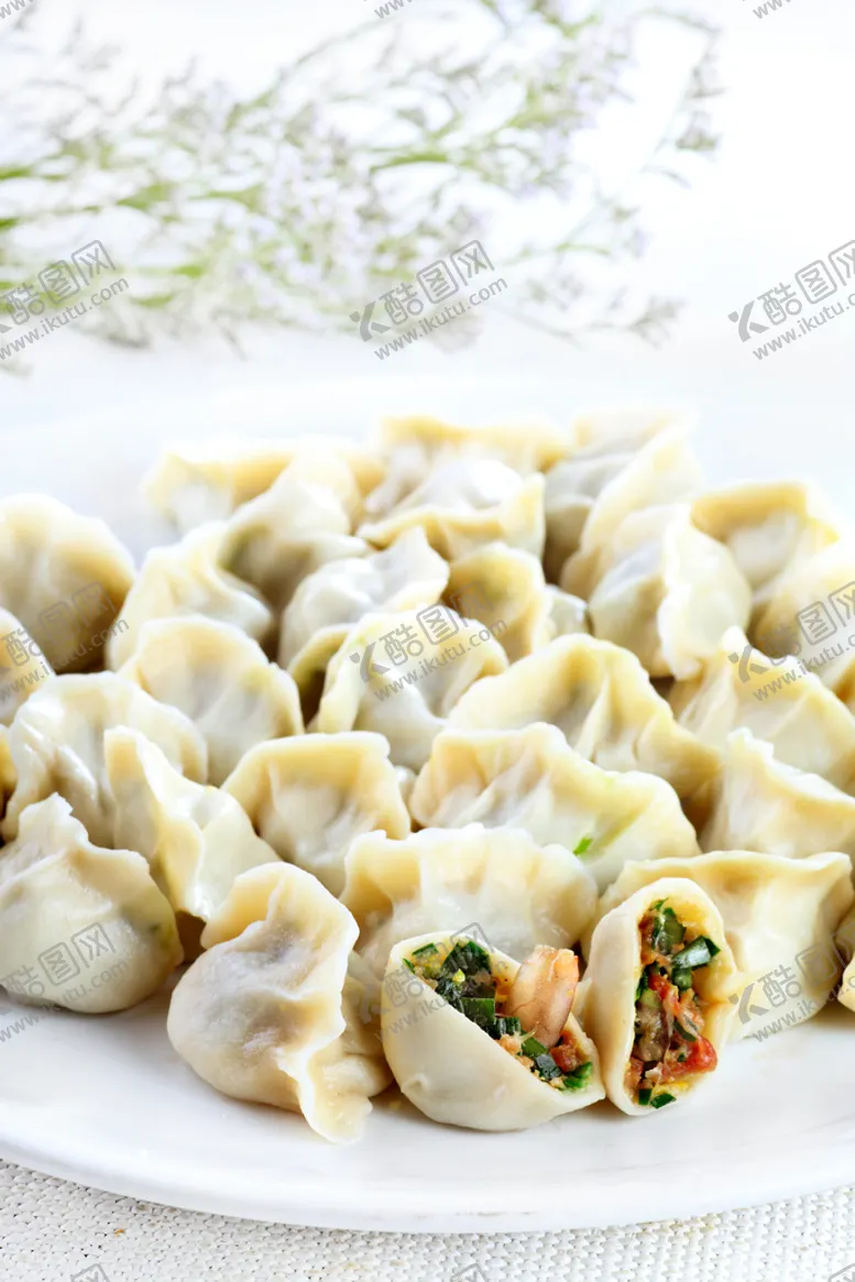 编号：28579009181944536823【酷图网】源文件下载-三鲜水饺