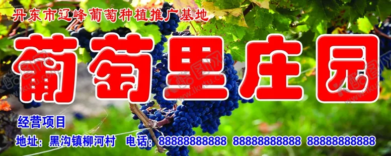 编号：37842106250510161542【酷图网】源文件下载-葡萄庄园