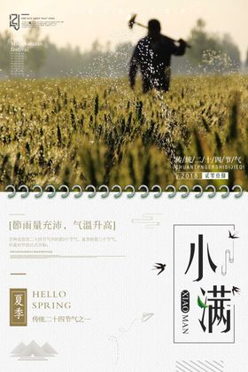 小满节气海报