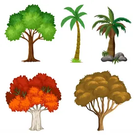 植物