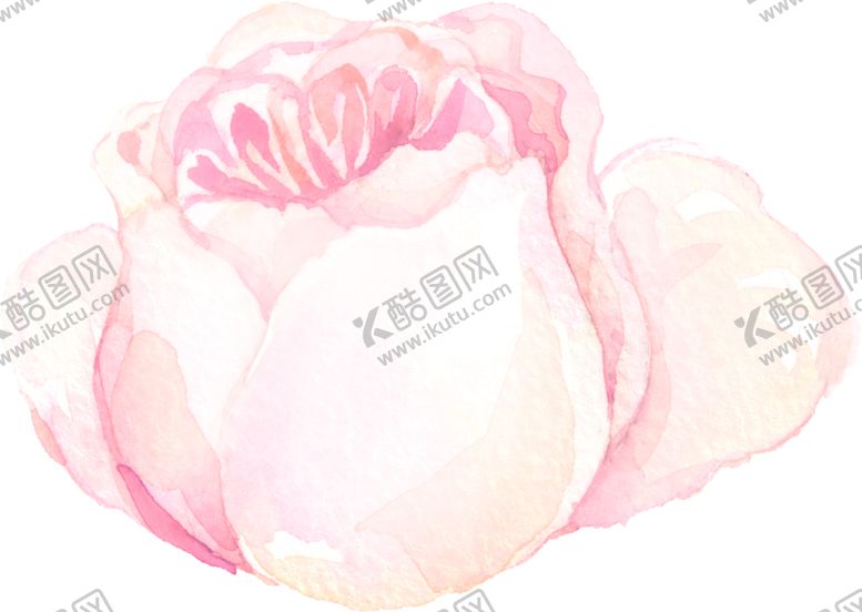 编号：57634610021101384489【酷图网】源文件下载-水彩手绘花卉花朵植物