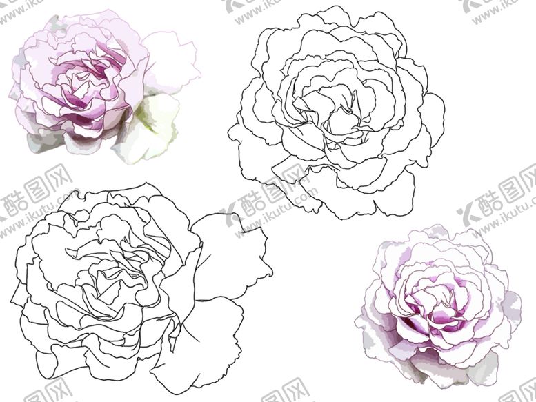 编号：46844410300115147103【酷图网】源文件下载-花卉素描