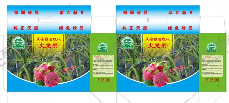 编号：86249310090431488091【酷图网】源文件下载-火龙果