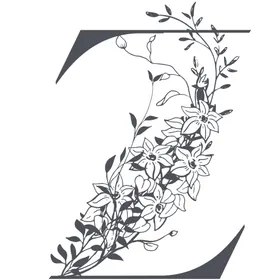 创意字母Z