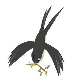 立春燕子插画