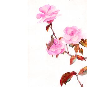 鲜花素材