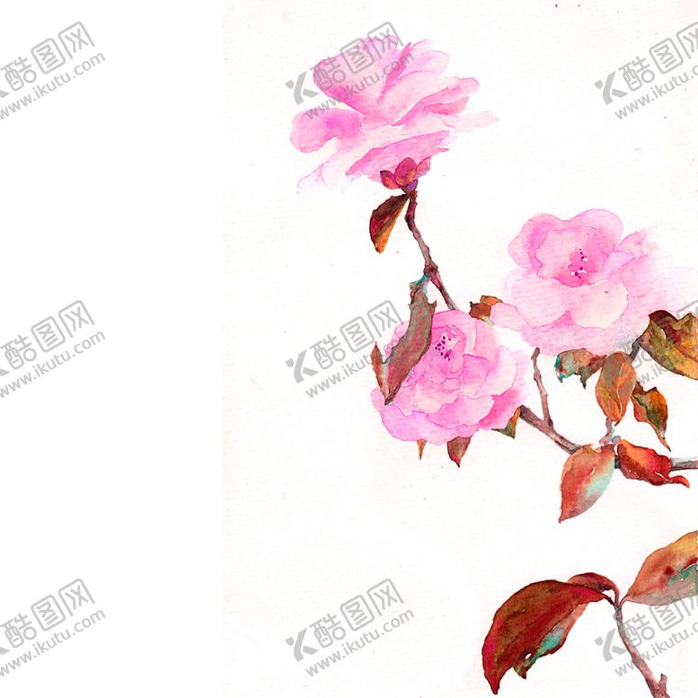 编号：93610605090101167665【酷图网】源文件下载-鲜花素材