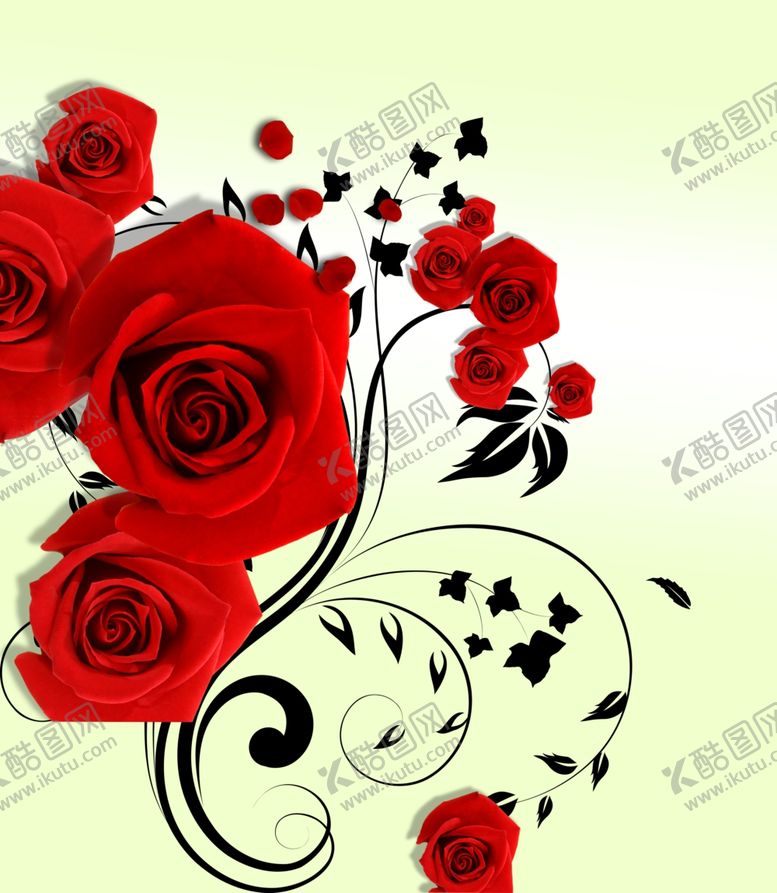 编号：95816607060805424386【酷图网】源文件下载-玫瑰花