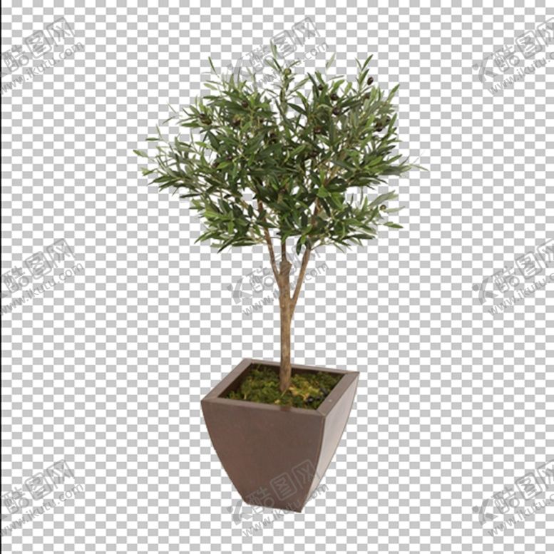 编号：13511209212034361024【酷图网】源文件下载-透明底花艺绿植摆件桌花