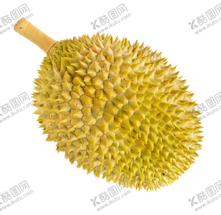 编号：43251909201536272939【酷图网】源文件下载-榴莲