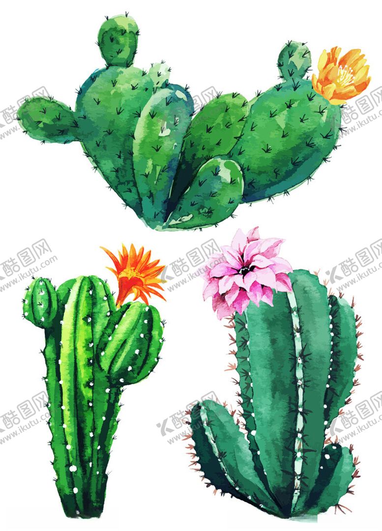 编号：58512602160023149662【酷图网】源文件下载-植物