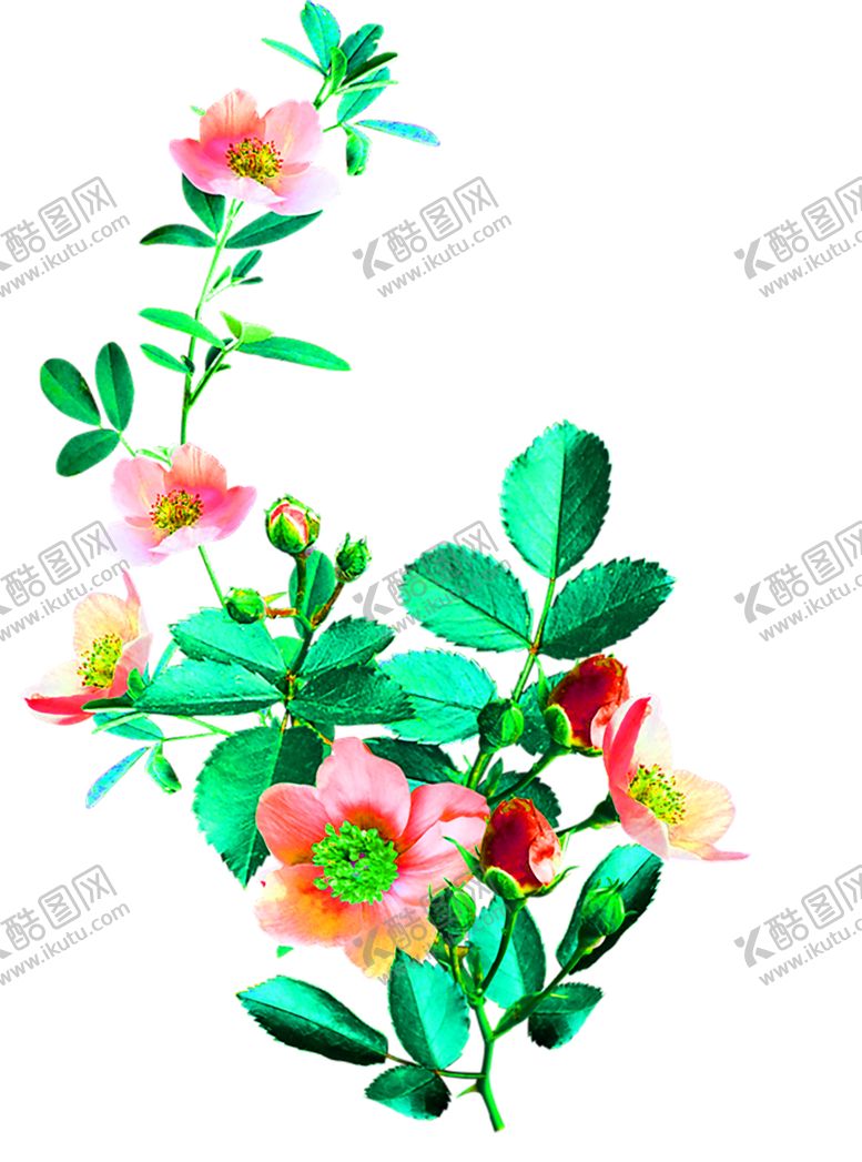 编号：60745506260106018759【酷图网】源文件下载-花素材
