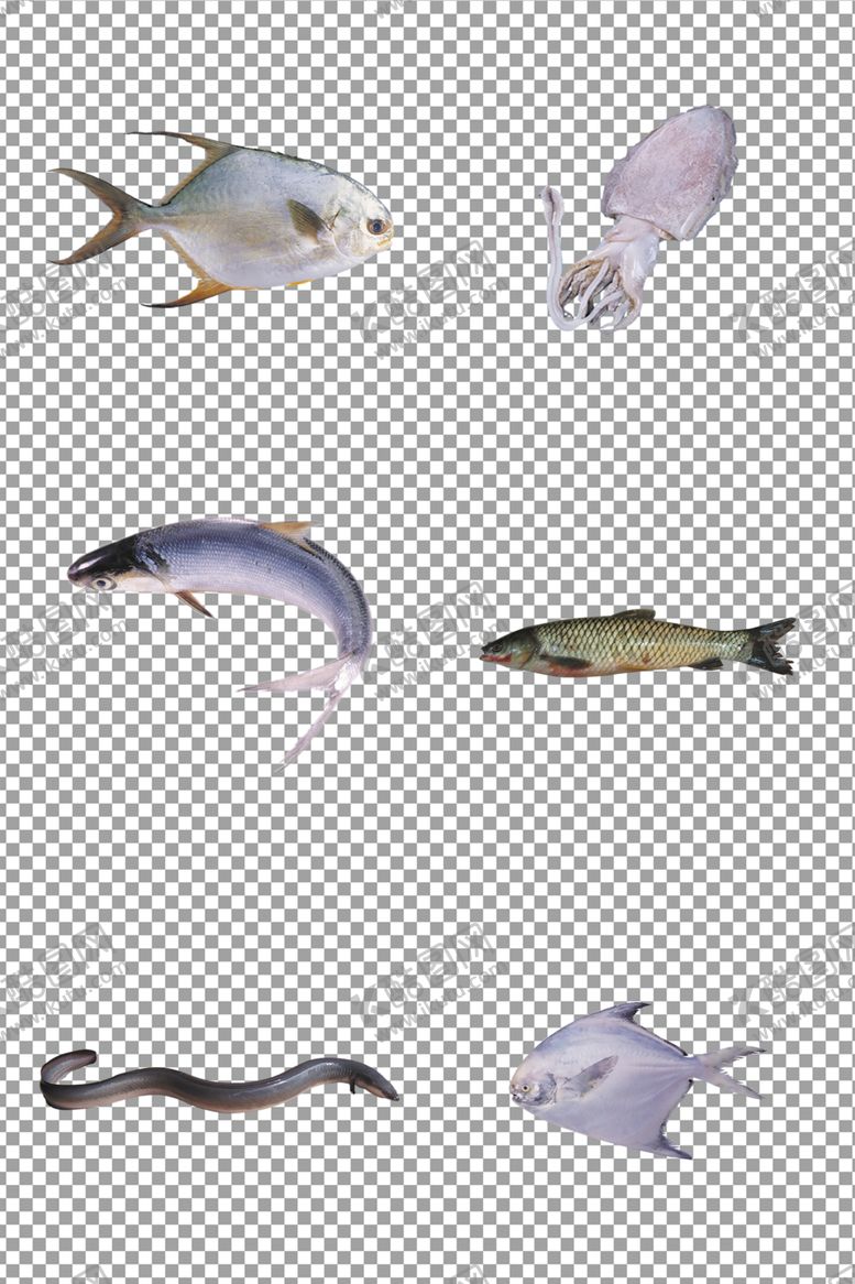 编号：44791910041940531377【酷图网】源文件下载-鱼海产品海鲜