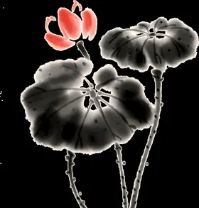 荷花