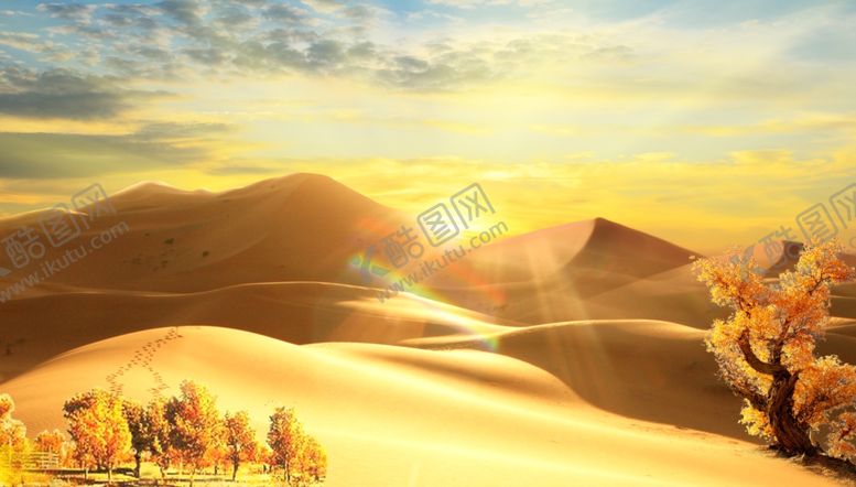 编号：24511909292140251588【酷图网】源文件下载-沙漠日出下的壮丽景观