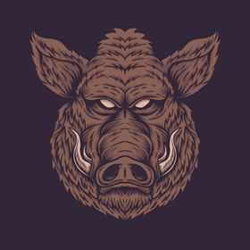 手绘涂鸦野猪头像插画图案印花