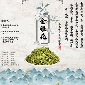 中药金银花