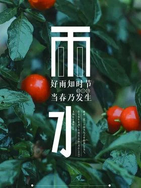 雨水微信转发高端节气稿清明